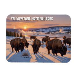 Yellowstone National Park bizon Magneet