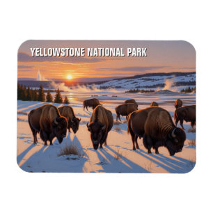 Yellowstone National Park bizon Magneet