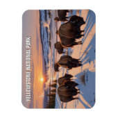 Yellowstone National Park bizon Magneet (Verticaal)