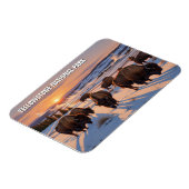 Yellowstone National Park bizon Magneet (Linkerzijde)