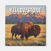 Yellowstone National Park bizon Magneet (Voorkant)