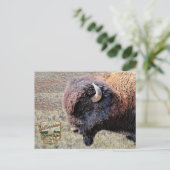 Yellowstone National Park Bizons Briefkaart (Staand voorkant)