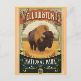 Yellowstone National Park Briefkaart