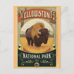 Yellowstone National Park Briefkaart