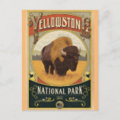 Yellowstone National Park Briefkaart (Voorkant)