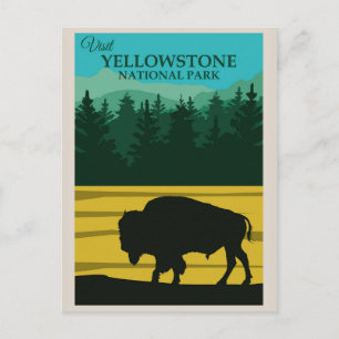  Yellowstone National Park Buffalo Briefkaart