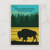  Yellowstone National Park Buffalo Briefkaart (Voorkant)