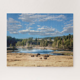 Yellowstone National Park: Buffalo puzzel
