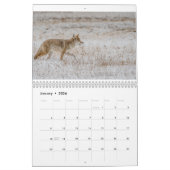 Yellowstone National Park Calendar Kalender (Jan 2026)