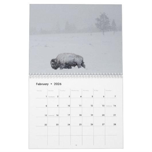 Yellowstone National Park Calendar Kalender (Feb 2026)