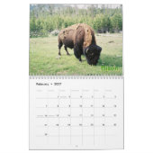 Yellowstone National Park Calendar Kalender (Feb 2027)