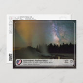 Yellowstone National Park - Castle Geyser Briefkaart (Voorkant / Achterkant)