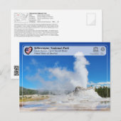 Yellowstone National Park - Castle Geyser Briefkaart (Voorkant / Achterkant)