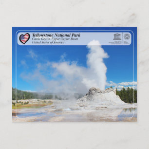 Yellowstone National Park - Castle Geyser Briefkaart