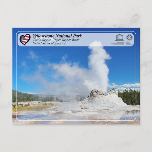 Yellowstone National Park - Castle Geyser Briefkaart (Voorkant)