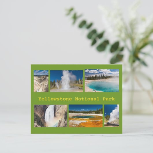 Yellowstone National Park Collage Postcard Briefkaart (Staand voorkant)