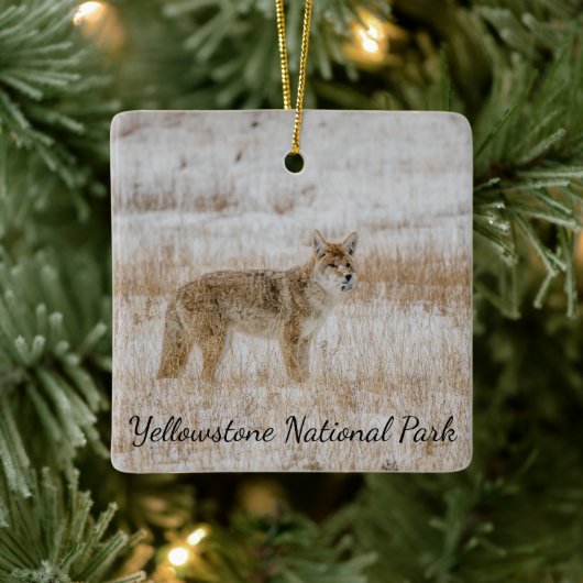 Yellowstone National Park Coyote Ornament (Boom)