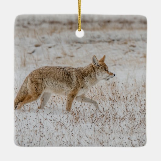Yellowstone National Park Coyote Ornament (Achterkant)