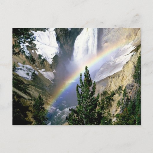 Yellowstone National Park  geschenken Briefkaart (Voorkant)