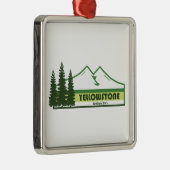Yellowstone National Park Green Stripes Metalen Ornament (Rechts)