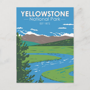 Yellowstone National Park Hayden Valley  Briefkaart