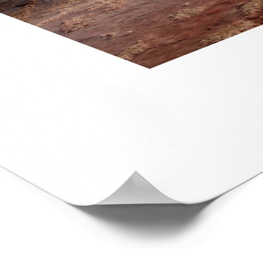 Yellowstone National Park hot spring Poster (Hoek)