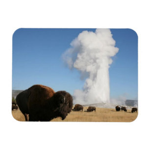 Yellowstone National Park Magneet