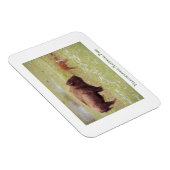 Yellowstone National Park magnet met bizon en kalf Magneet (Rechterzijde)