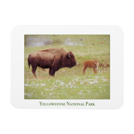 Yellowstone National Park magnet met bizon en kalf Magneet (Horizontaal)