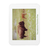 Yellowstone National Park magnet met bizon en kalf Magneet (Verticaal)