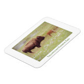 Yellowstone National Park magnet met bizon en kalf Magneet (Linkerzijde)