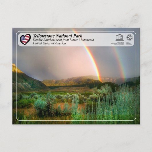 Yellowstone National Park - Mammoth Hot Springs Briefkaart (Voorkant)