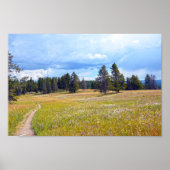 Yellowstone National Park Meadow Trail Poster (Voorkant)