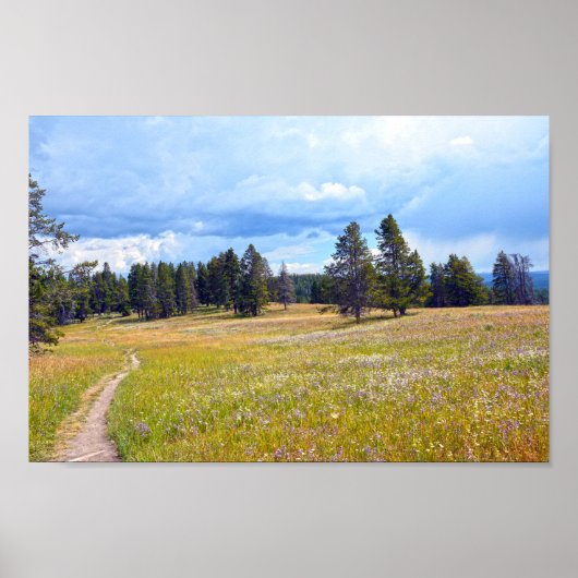 Yellowstone National Park Meadow Trail Poster (Voorkant)