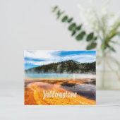 Yellowstone National Park Mountains Natuur Animals Briefkaart (Staand voorkant)