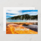 Yellowstone National Park Mountains Natuur Animals Briefkaart (Voorkant / Achterkant)