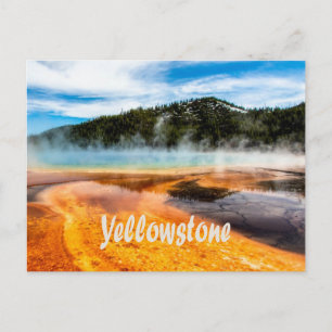 Yellowstone National Park Mountains Natuur Animals Briefkaart