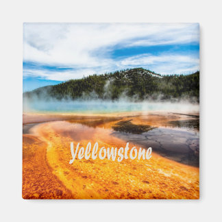 Yellowstone National Park Mountains Natuur Animals Magneet