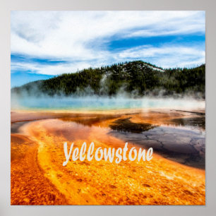 Yellowstone National Park Mountains Natuur Animals Poster
