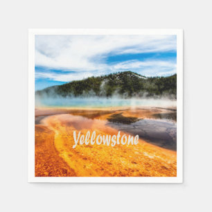 Yellowstone National Park Mountains Natuur Animals Servet
