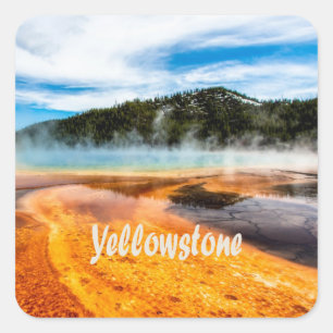Yellowstone National Park Mountains Natuur Animals Vierkante Sticker