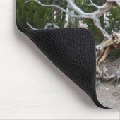 Yellowstone National Park Muismat (Hoek)