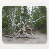 Yellowstone National Park Muismat (Voorkant)