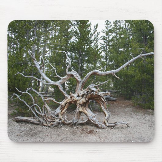 Yellowstone National Park Muismat (Voorkant)