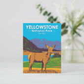 Yellowstone National Park Mule Deer  Briefkaart (Staand voorkant)