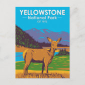 Yellowstone National Park Mule Deer  Briefkaart (Voorkant)