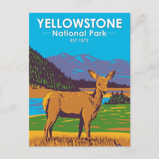 Yellowstone National Park Mule Deer  Briefkaart (Voorkant)