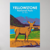 Yellowstone National Park Mule Deer  Poster (Voorkant)