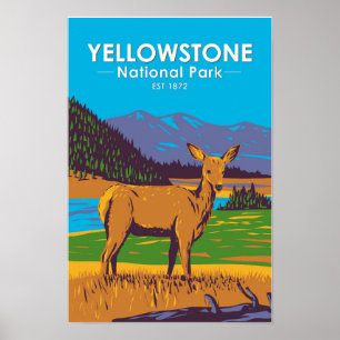 Yellowstone National Park Mule Deer Poster