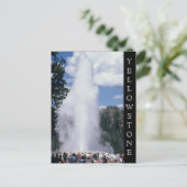 Yellowstone National Park Old Faithful Briefkaart (Staand voorkant)